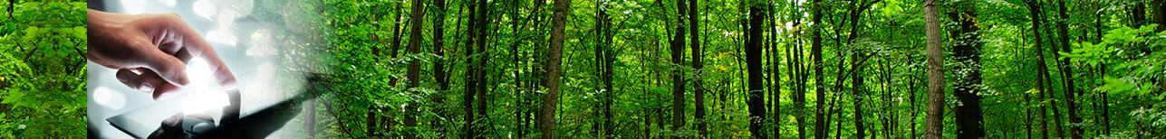 Natural search optimization
